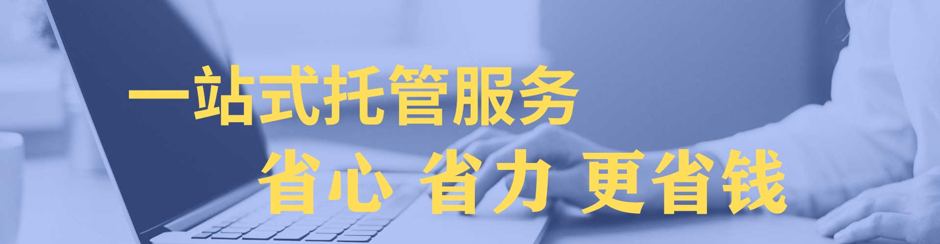 原阳百度优化推广